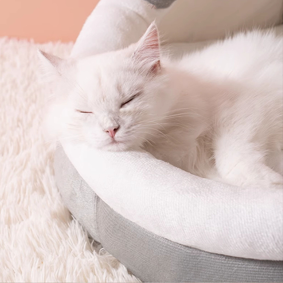 Cat Nest Four Seasons Universal Winter Thickened Closed Type