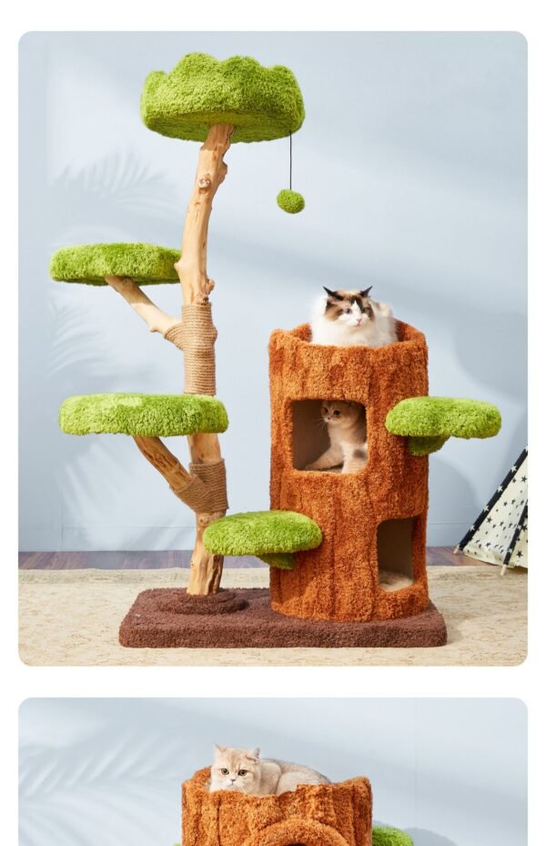 【 Tree Hole Series 】 Meow Thinking Tree Solid Wood Cat Crawler, Cat Nest, Internet Celebrity, One Piece, No Occupation, Cat Sisal, Wear resistant