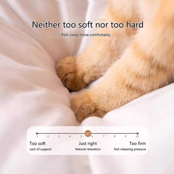 Cat's Nest Dog's Nest Dog's Nest Four Seasons Universal Closed Cat House Sleeping Pet Bed Cat Supplies Teddy Bear Special